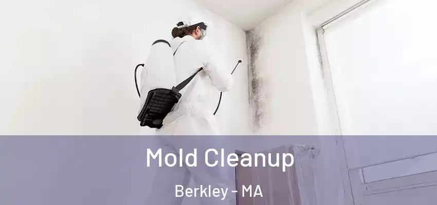 Mold Cleanup Berkley - MA