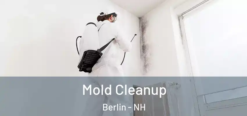 Mold Cleanup Berlin - NH