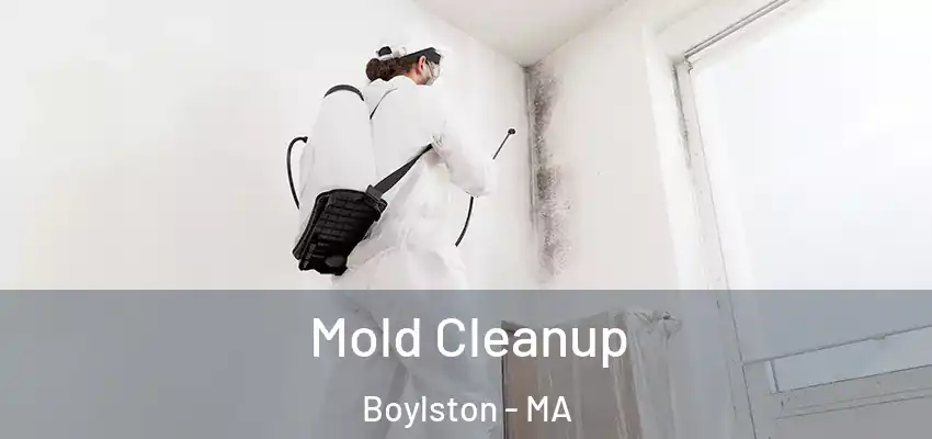 Mold Cleanup Boylston - MA