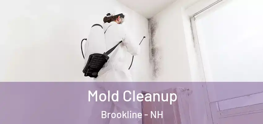 Mold Cleanup Brookline - NH