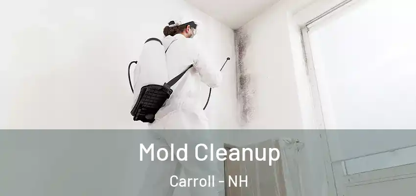 Mold Cleanup Carroll - NH