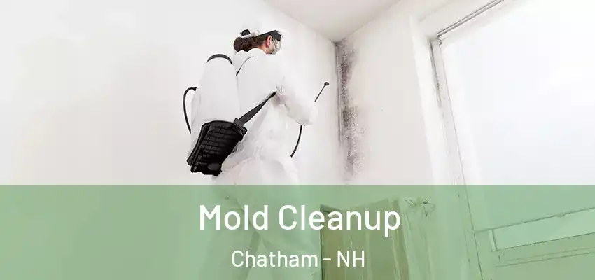 Mold Cleanup Chatham - NH