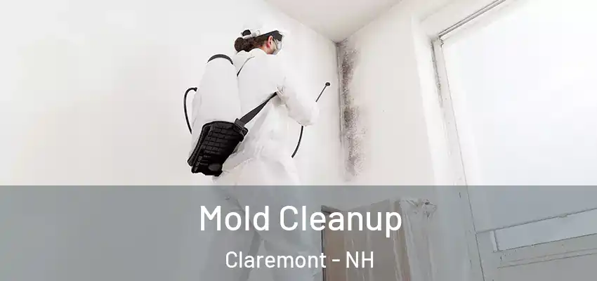  Mold Cleanup Claremont - NH
