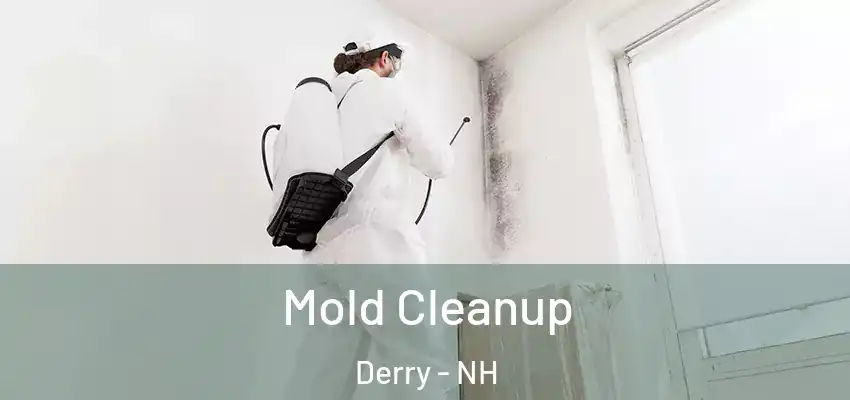Mold Cleanup Derry - NH
