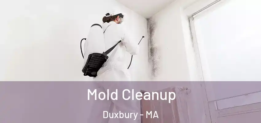 Mold Cleanup Duxbury - MA