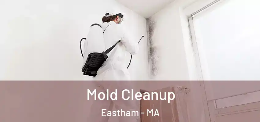 Mold Cleanup Eastham - MA