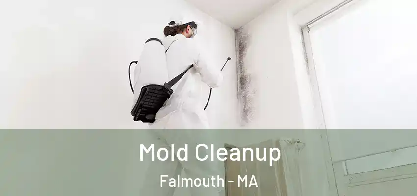  Mold Cleanup Falmouth - MA