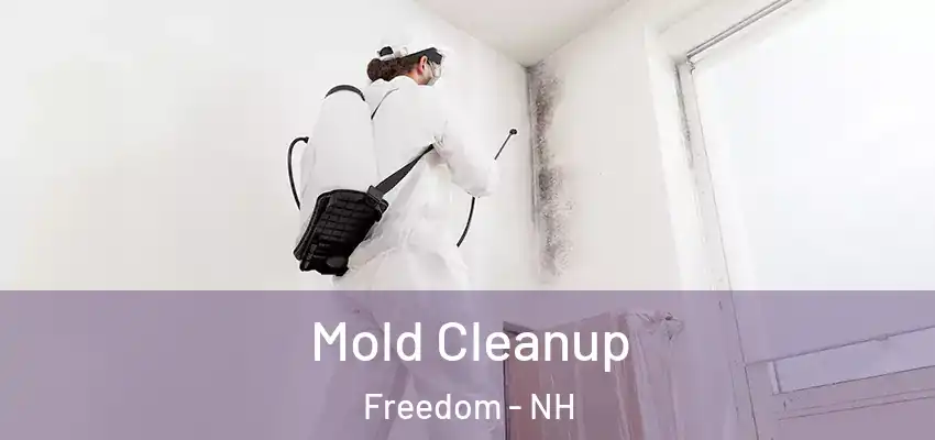 Mold Cleanup Freedom - NH