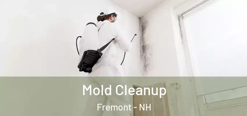 Mold Cleanup Fremont - NH