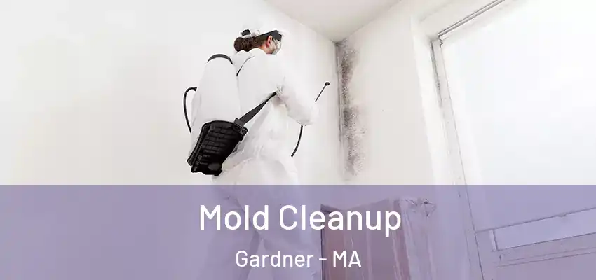  Mold Cleanup Gardner - MA