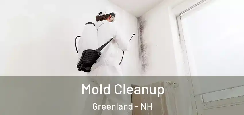  Mold Cleanup Greenland - NH