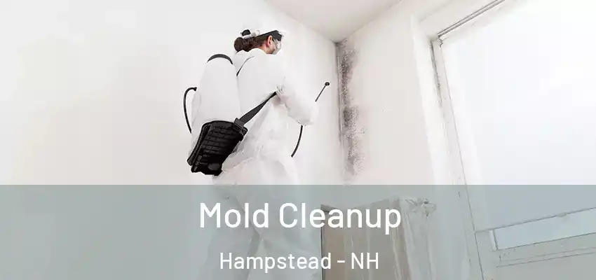 Mold Cleanup Hampstead - NH