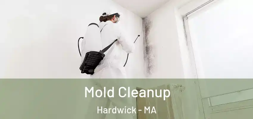  Mold Cleanup Hardwick - MA