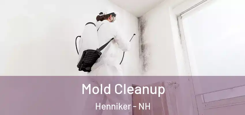  Mold Cleanup Henniker - NH