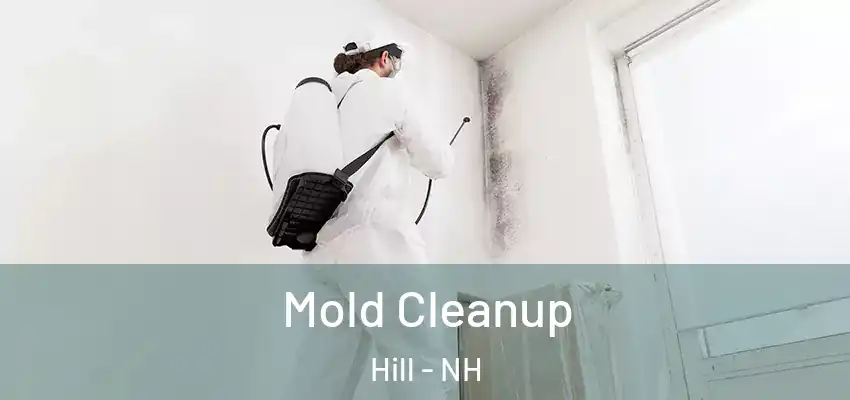 Mold Cleanup Hill - NH