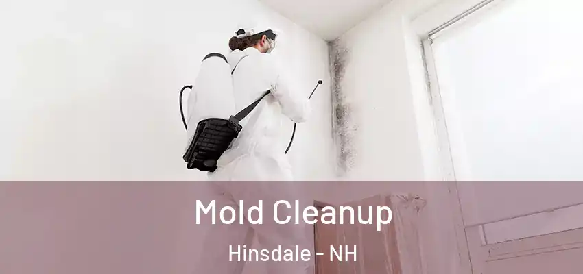  Mold Cleanup Hinsdale - NH