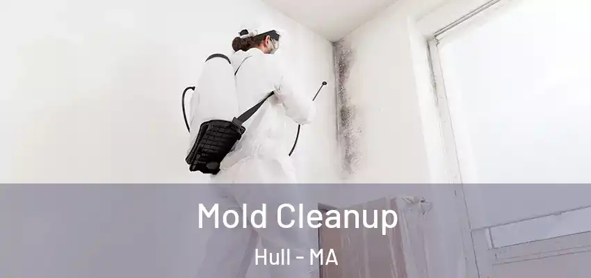 Mold Cleanup Hull - MA