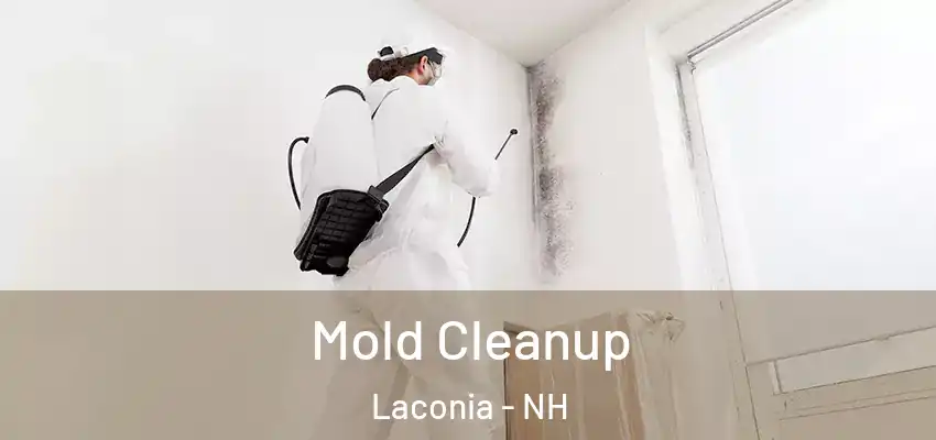 Mold Cleanup Laconia - NH