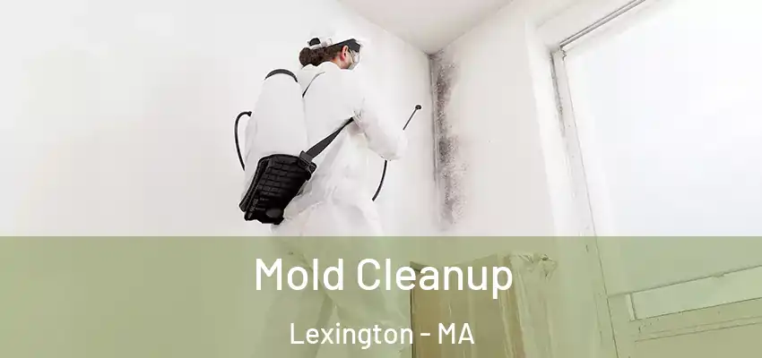 Mold Cleanup Lexington - MA