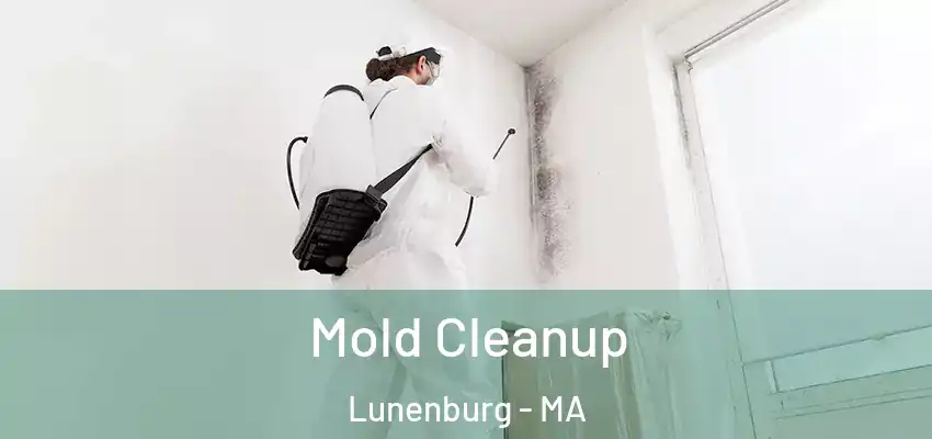 Mold Cleanup Lunenburg - MA