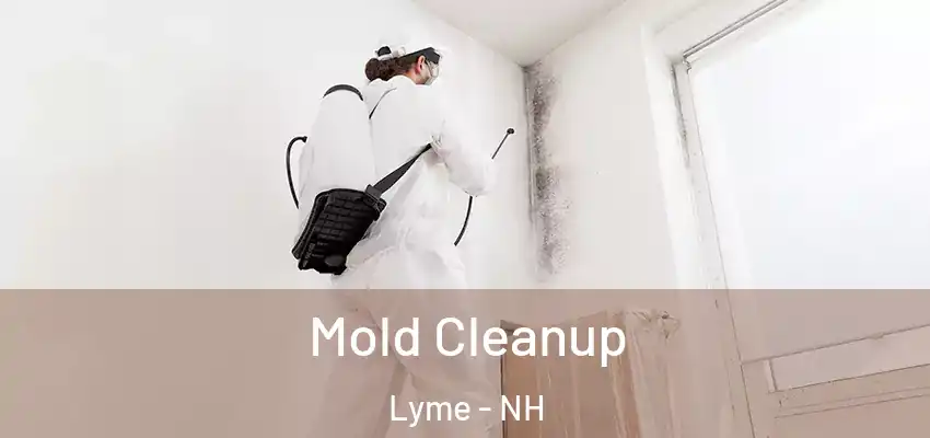 Mold Cleanup Lyme - NH