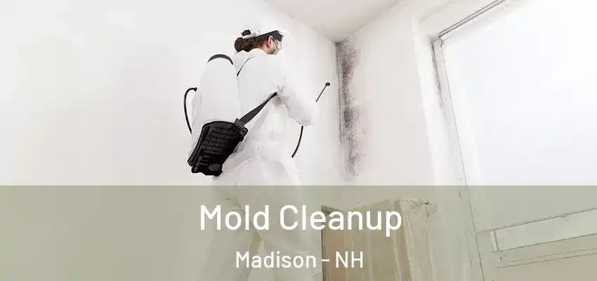 Mold Cleanup Madison - NH