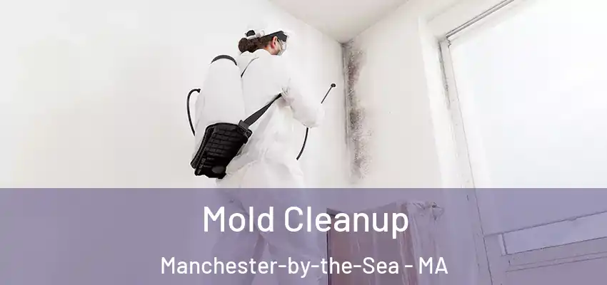 Mold Cleanup Manchester-by-the-Sea - MA