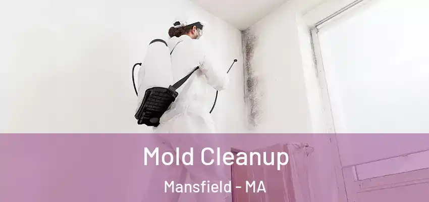  Mold Cleanup Mansfield - MA