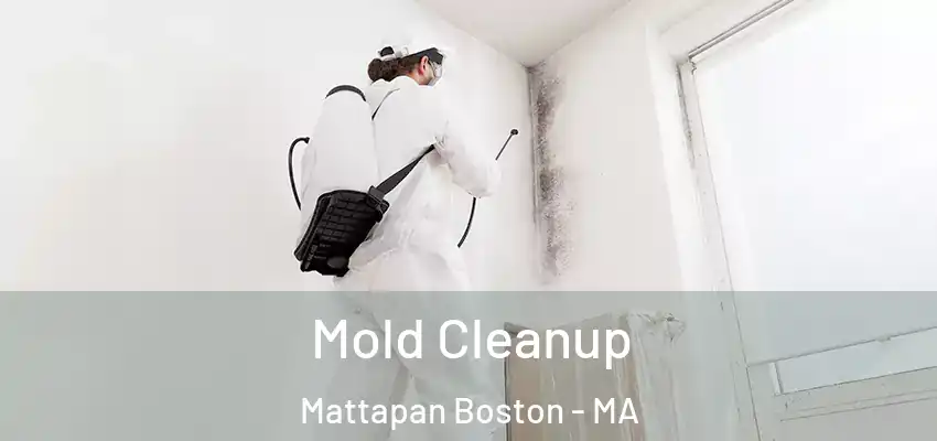 Mold Cleanup Mattapan Boston - MA