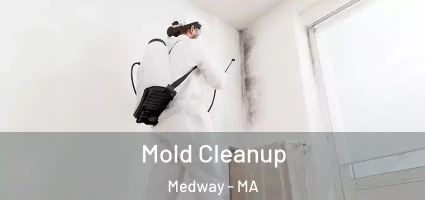 Mold Cleanup Medway - MA