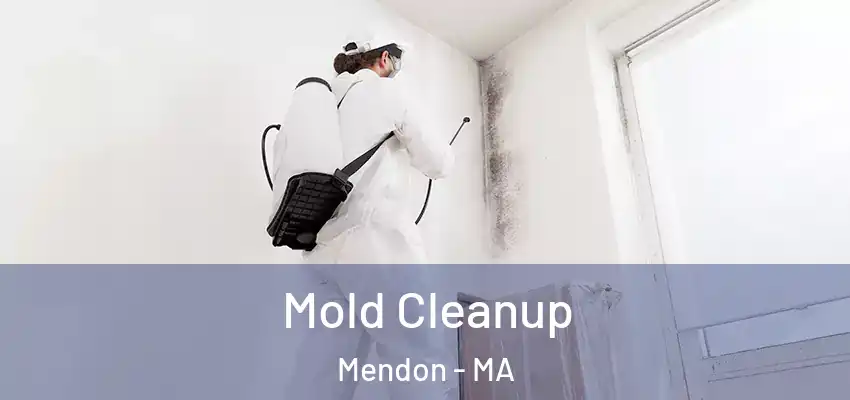  Mold Cleanup Mendon - MA