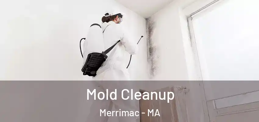  Mold Cleanup Merrimac - MA