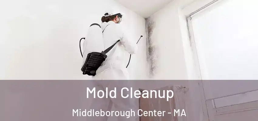  Mold Cleanup Middleborough Center - MA