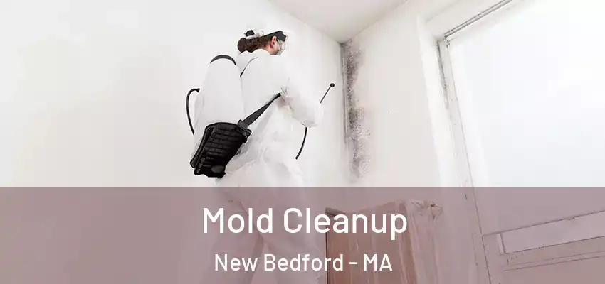 Mold Cleanup New Bedford - MA