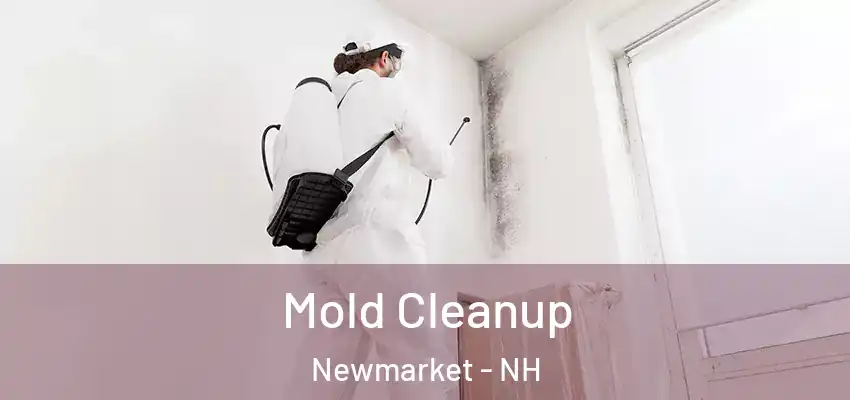 Mold Cleanup Newmarket - NH