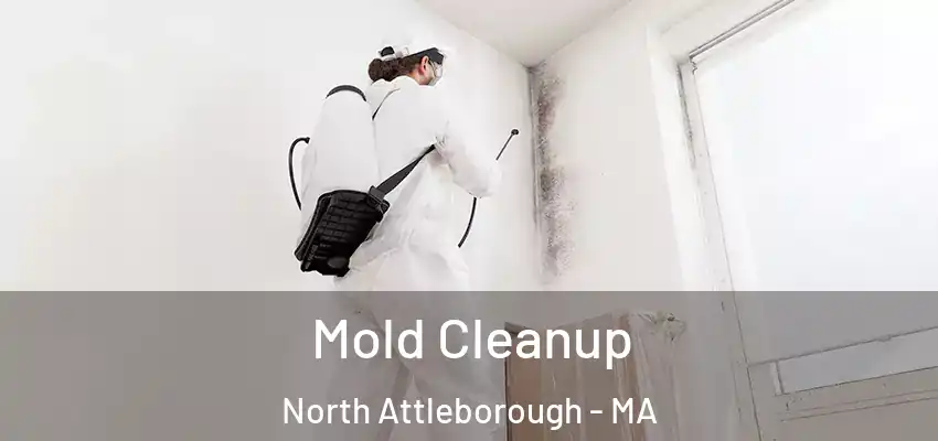  Mold Cleanup North Attleborough - MA