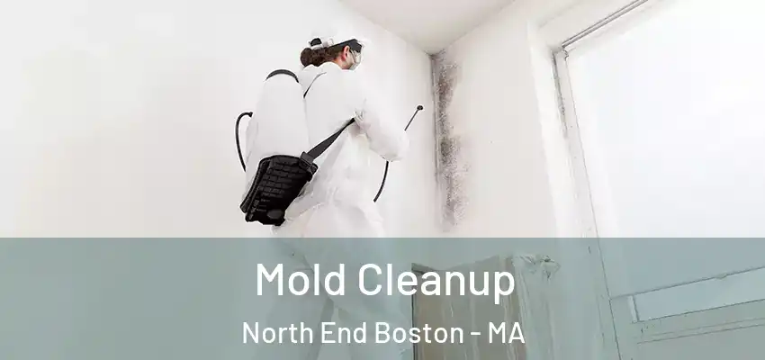  Mold Cleanup North End Boston - MA