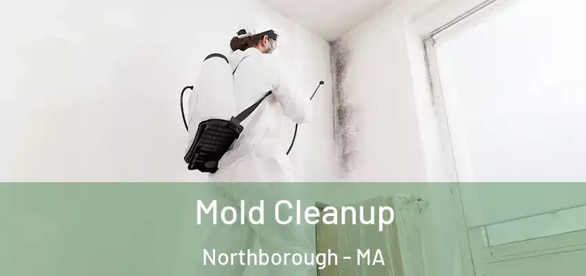 Mold Cleanup Northborough - MA