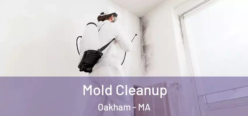  Mold Cleanup Oakham - MA
