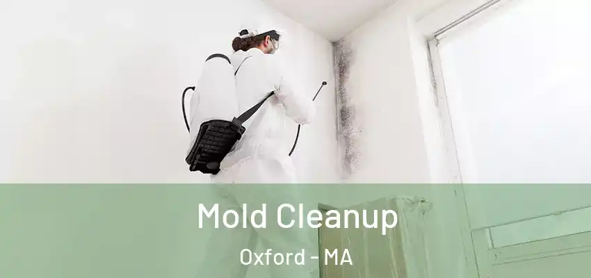 Mold Cleanup Oxford - MA