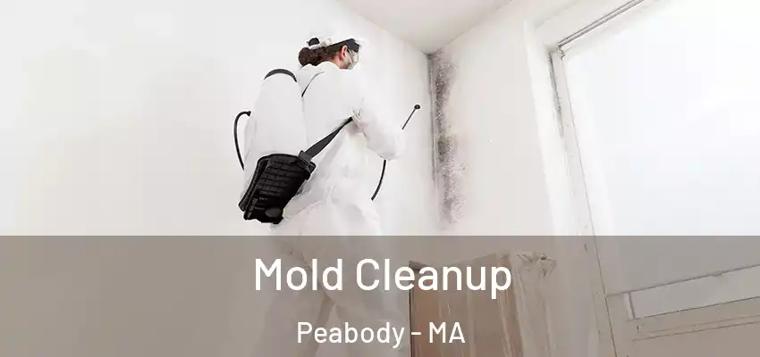 Mold Cleanup Peabody - MA