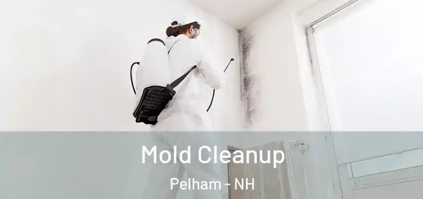 Mold Cleanup Pelham - NH
