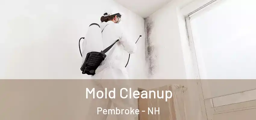Mold Cleanup Pembroke - NH