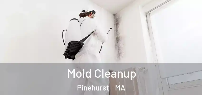 Mold Cleanup Pinehurst - MA
