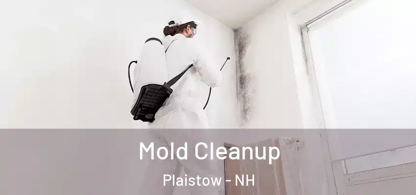 Mold Cleanup Plaistow - NH