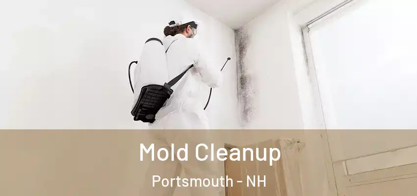 Mold Cleanup Portsmouth - NH