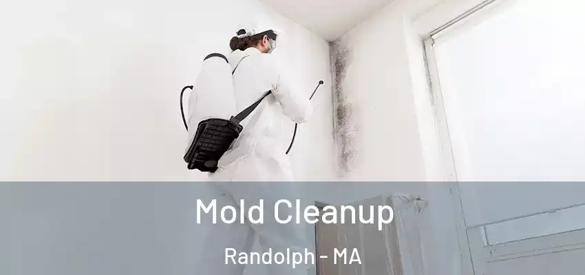 Mold Cleanup Randolph - MA