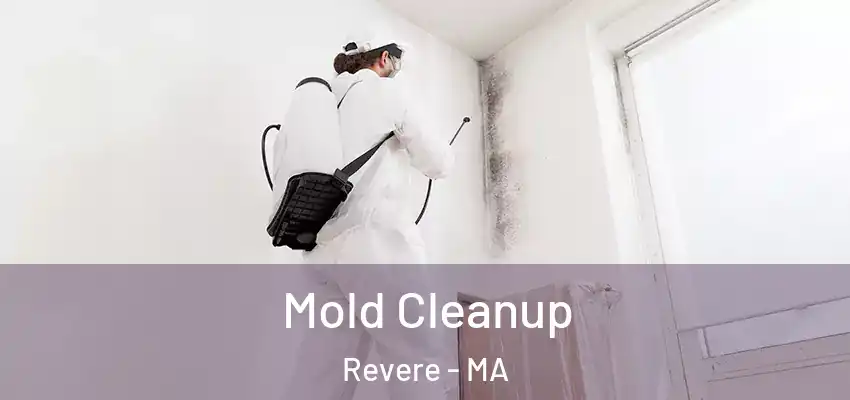 Mold Cleanup Revere - MA