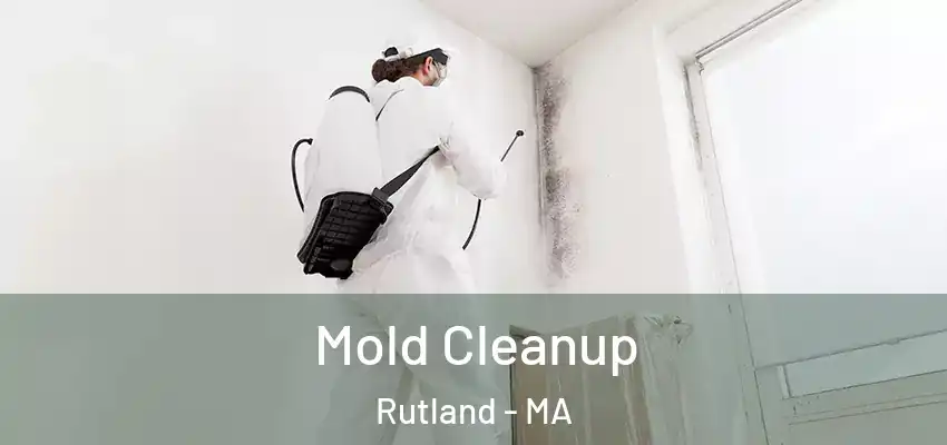  Mold Cleanup Rutland - MA