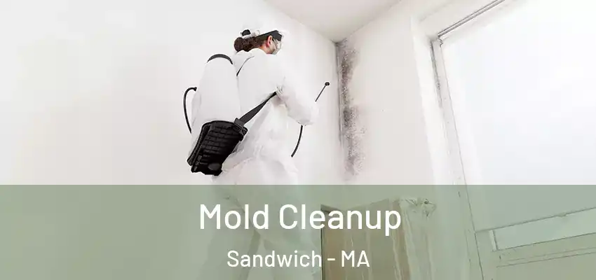 Mold Cleanup Sandwich - MA
